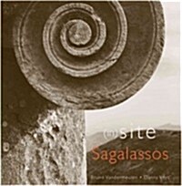 (In)site Sagalassos (Hardcover)