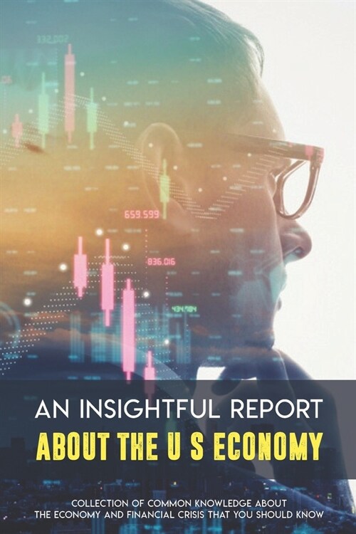 An Insightful Report About The U.S Economy: Collection Of Common Knowledge About The Economy And Financial Crisis That You Should Know: Great Inflatio (Paperback)