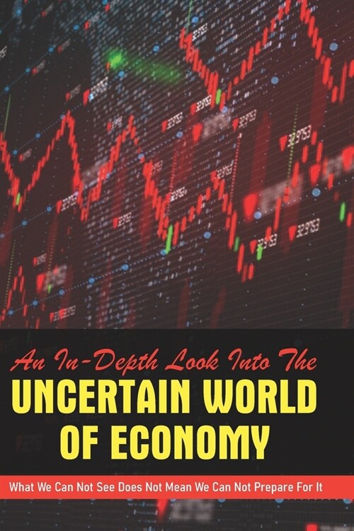 An In-Depth Look Into The Uncertain World Of Economy: What We Can Not See Does Not Mean We Can Not Prepare For It: Economics 101 For Dummies (Paperback)