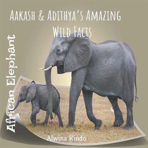 African Elephant- Aakash and Adithyas Amazing wild facts (Paperback)