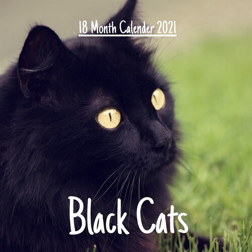 Black Cats 18 month calendar 2021: Black Cats Calendar 2021, 18 Month calendar, 8.5 x 8.5 inches (Paperback)