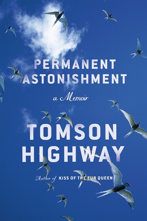 Permanent Astonishment: A Memoir (Hardcover)