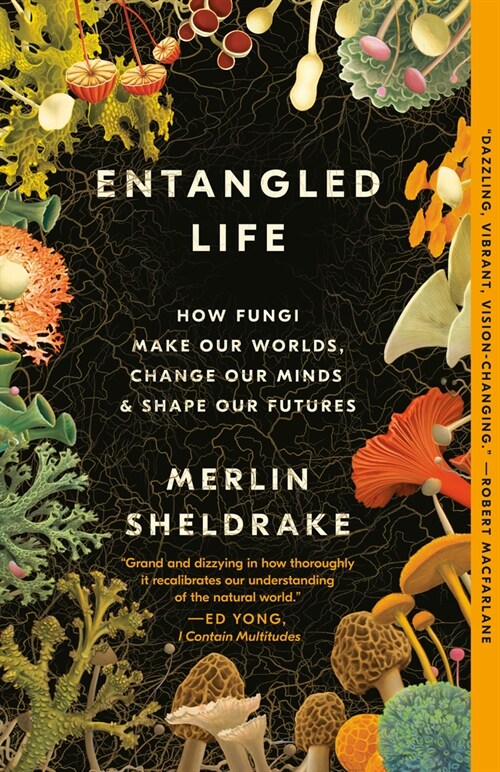 Entangled Life: How Fungi Make Our Worlds, Change Our Minds & Shape Our Futures (Paperback)