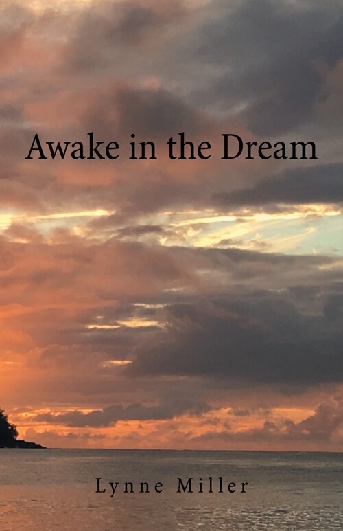 Awake in the Dream (Paperback)