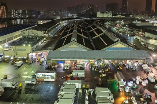 Tsukiji Fish Market: Memories: 2006-2018 (Hardcover)