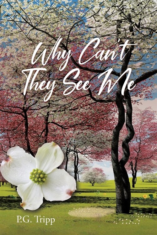 Why Cant They See Me (Paperback)