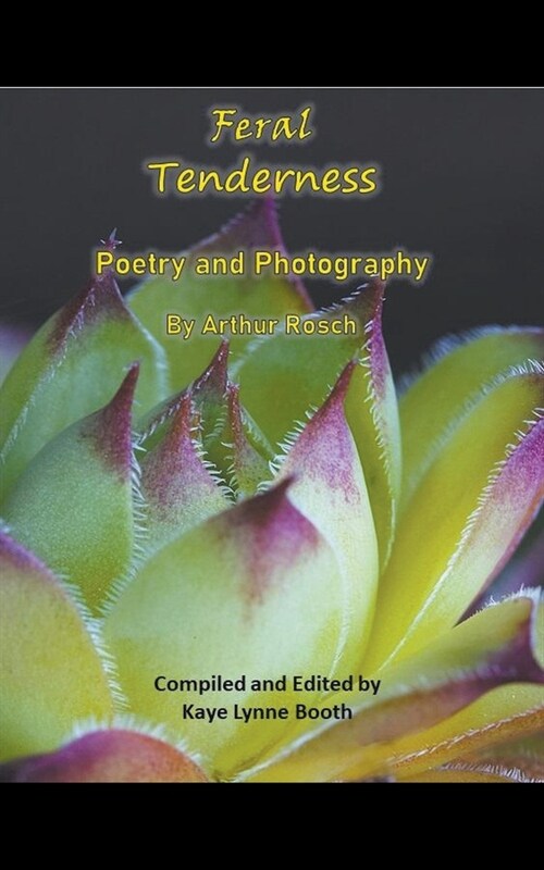 Feral Tenderness (Paperback)