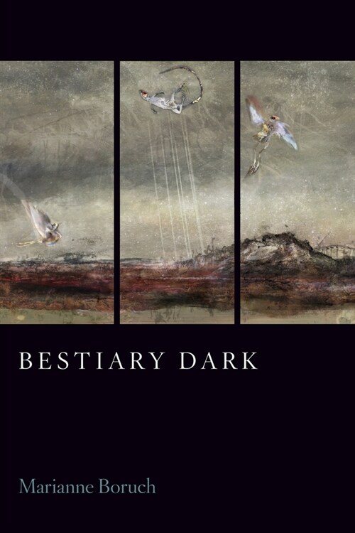 Bestiary Dark (Paperback)