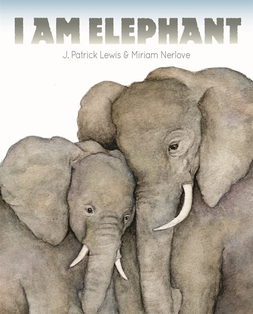 I Am Elephant (Hardcover)