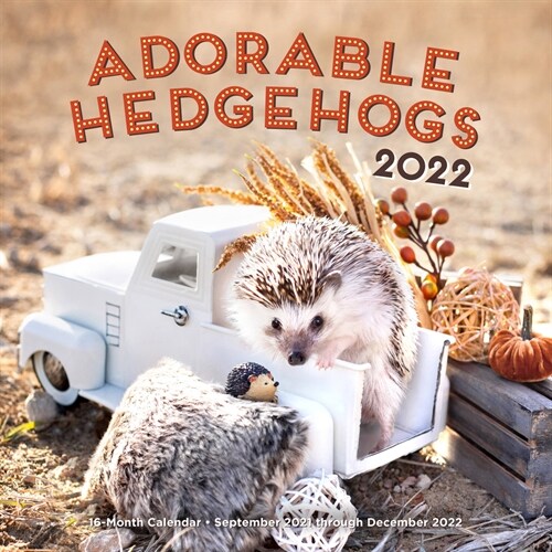 Adorable Hedgehogs 2022: 16-Month Calendar - September 2021 Through December 2022 (Wall)