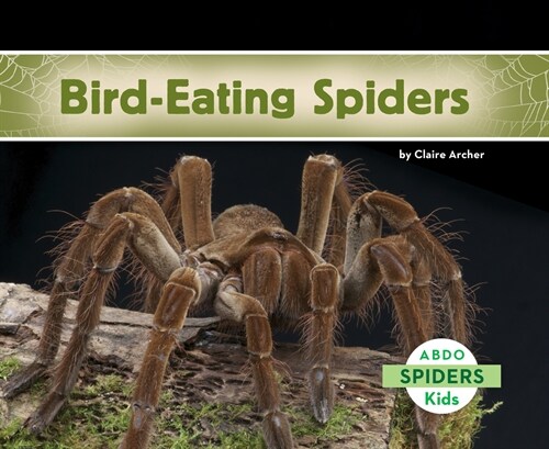 Bird-Eating Spiders (Paperback)