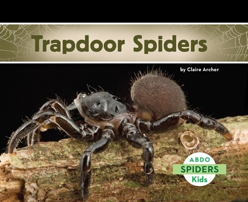 Trapdoor Spiders (Paperback)