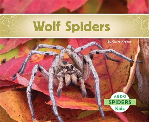 Wolf Spiders (Paperback)