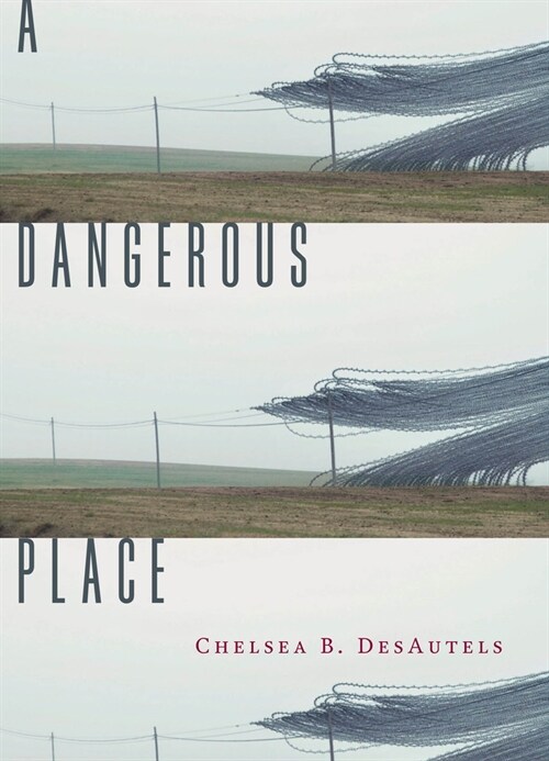 A Dangerous Place (Paperback)