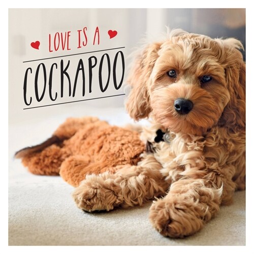 Love Is a Cockapoo : A Dog-Tastic Celebration of the Worlds Cutest Breed (Hardcover)
