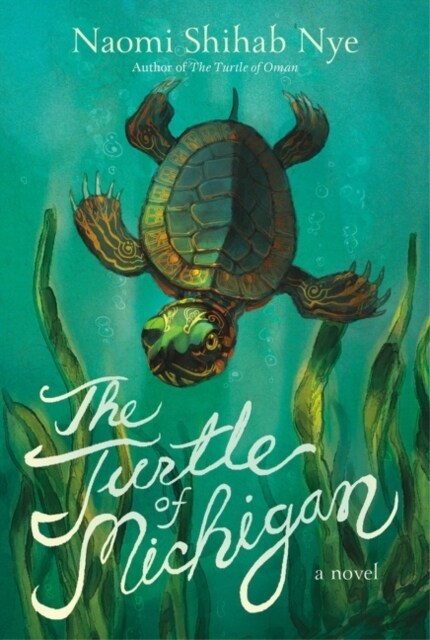 The Turtle of Michigan (Hardcover)