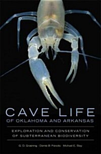 Cave Life of Oklahoma and Arkansas: Exploration and Conservation of Subterranean Biodiversity Volume 10 (Paperback)