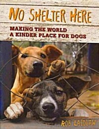 No Shelter Here: Making the World a Kinder Place for Dogs (Paperback)