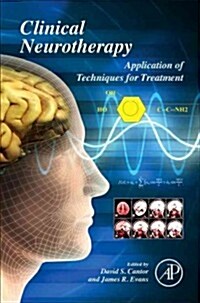 Clinical Neurotherapy: Application of Techniques for Treatment (Hardcover)