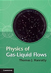 Physics of Gas-Liquid Flows (Hardcover)