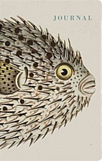 Natural Histories Journal : Fish (Hardcover)