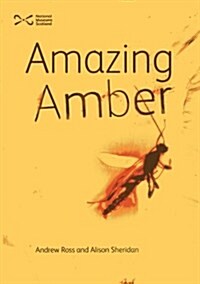 Amazing Amber (Paperback)