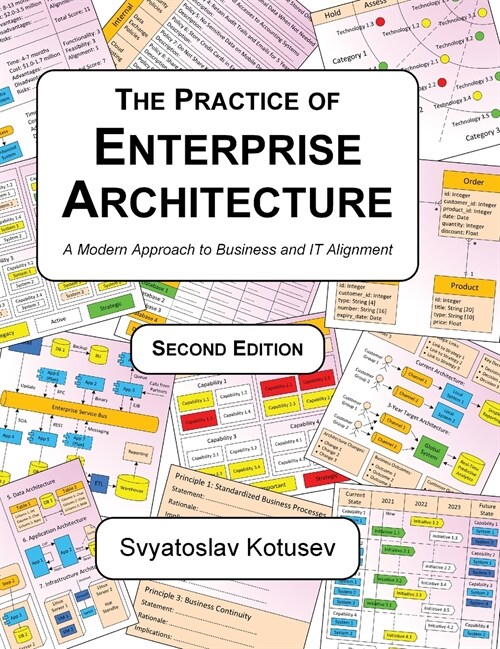 The Practice of Enterprise Architecture: A Modern Approach to Business and IT Alignment (Hardcover, 2)