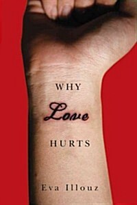 Why Love Hurts : A Sociological Explanation (Paperback)
