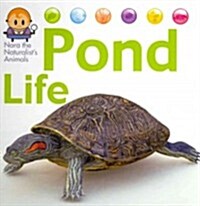 Pond Life (Hardcover)