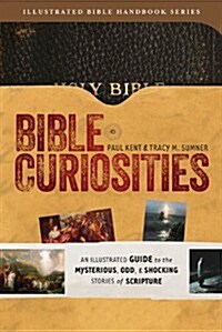 Bible Curiosities: An Illustrated Guide to the Mysterious, Odd, and Shocking Stories of Scripture (Paperback)