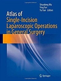 Atlas of Single-Incision Laparoscopic Operations in General Surgery (Hardcover, 2013)
