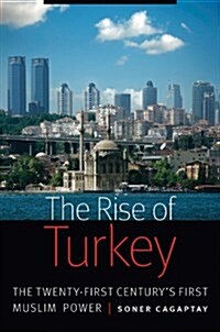 Rise of Turkey: The Twenty-First Centurys First Muslim Power (Hardcover)