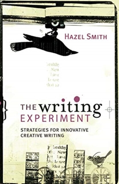 The Writing Experiment : Strategies for innovative creative writing (Hardcover)