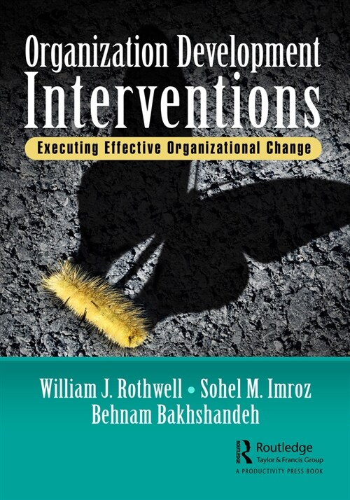 Organization Development Interventions : Executing Effective Organizational Change (Paperback)