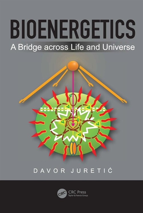 Bioenergetics: A Bridge Across Life and Universe (Hardcover)