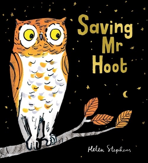 Saving Mr Hoot PB (Paperback)