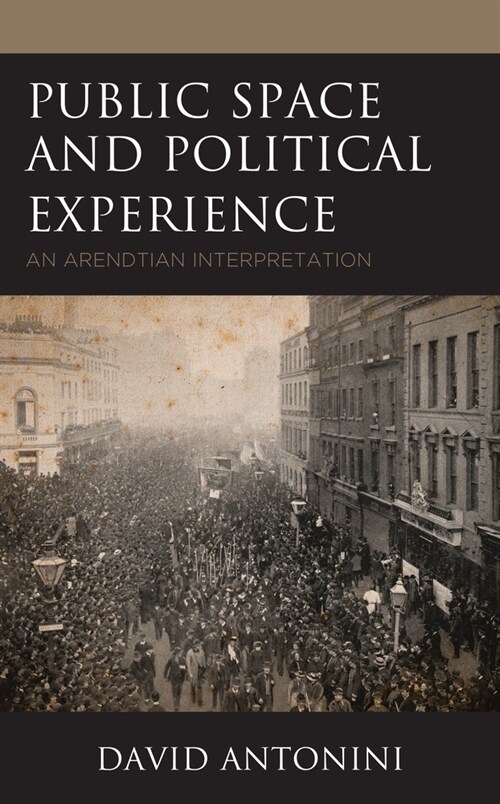 Public Space and Political Experience: An Arendtian Interpretation (Hardcover)