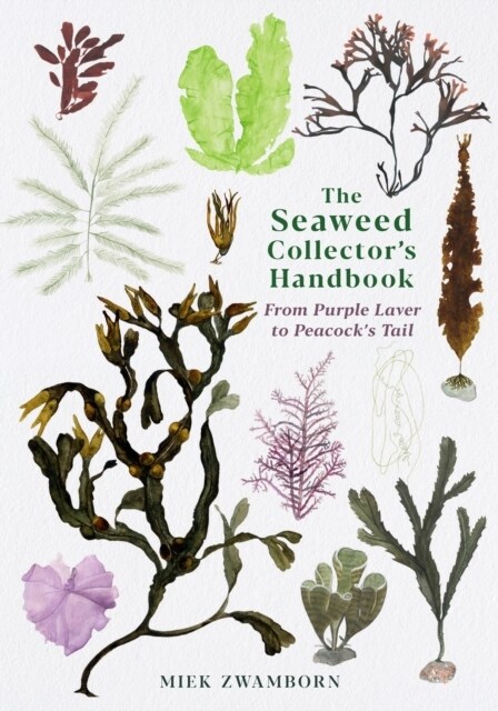 The Seaweed Collectors Handbook : From Purple Laver to Peacock’s Tail (Paperback, Main)