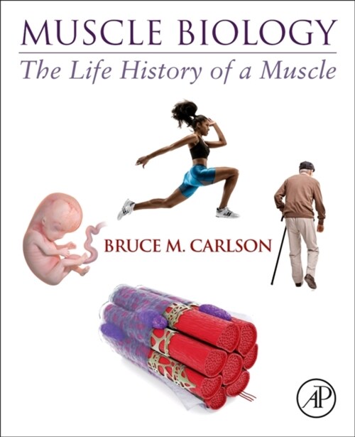 Muscle Biology: The Life History of a Muscle (Paperback)