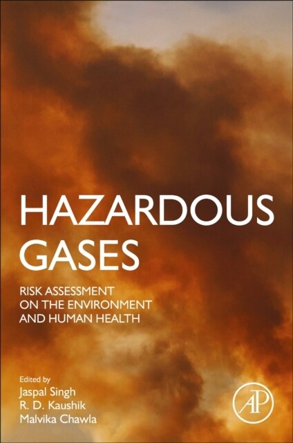Hazardous Gases : Risk Assessment on the Environment and Human Health (Paperback)