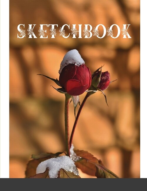 Sketchbook: Best blank white pages with paint art multicolor cover for painting, drawing, writing, sketching and doodling, wide pa (Paperback)