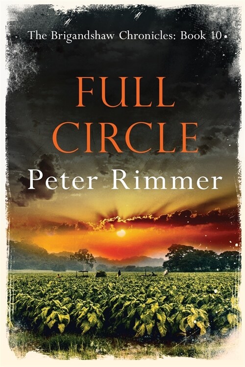 Full Circle (Paperback)