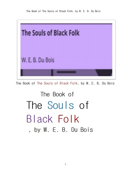 보이스의 흑인의 영혼 (The Book of The Souls of Black Folk, by W. E. B. Du Bois)