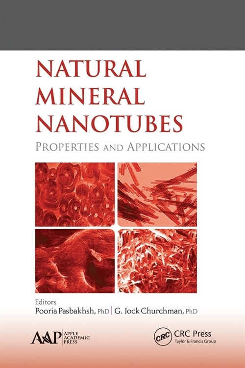 Natural Mineral Nanotubes: Properties and Applications (Paperback)