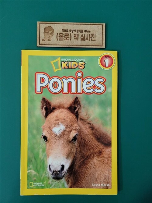 [중고] Ponies (Paperback)