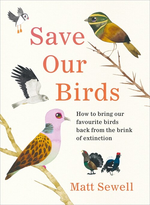 Save Our Birds : How to bring our favourite birds back from the brink of extinction (Hardcover)