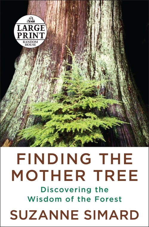 Finding the Mother Tree: Discovering the Wisdom of the Forest (Paperback)