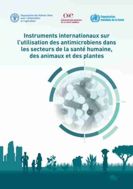 INSTRUMENTS INTERNATIONAUX SUR LUTILISA (Paperback)