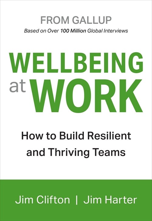 Wellbeing at Work (Hardcover)