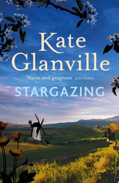 Stargazing : A captivating and charming read of love and family secrets to curl up with this autumn (Paperback)